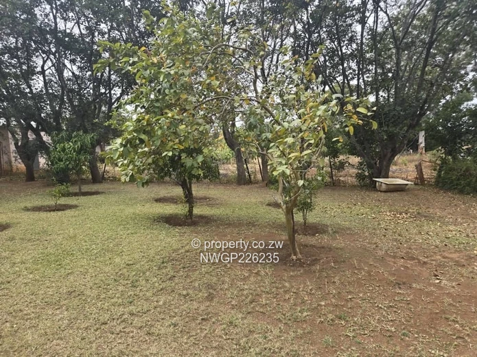 Spacious 4-Bedroom Home with Borehole in Riverside North, Bulawayo