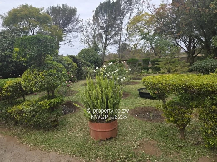 Spacious 4-Bedroom Home with Borehole in Riverside North, Bulawayo