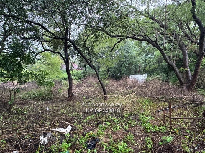 Prime Investment Opportunity in Hillside South – Spacious 3-Bedroom Home on 3,600sqm with Renovation