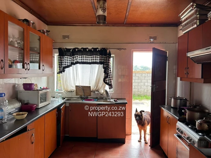 Incomplete Luxury Home for Sale – Spacious Property with Cottage & Borehole