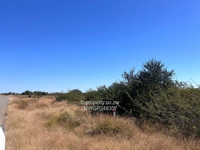 Build Your Dream Home in King's City's Prestigious Low-Density Community