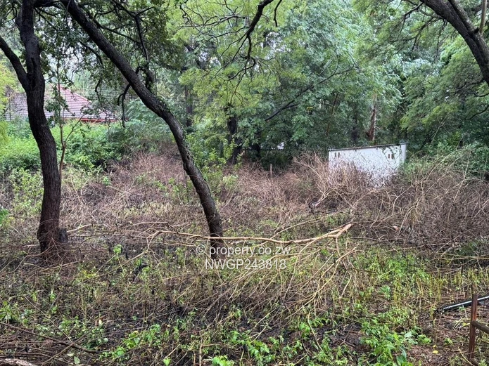 Prime Investment Opportunity in Hillside South – Spacious 3-Bedroom Home on 3,600sqm with Renovation