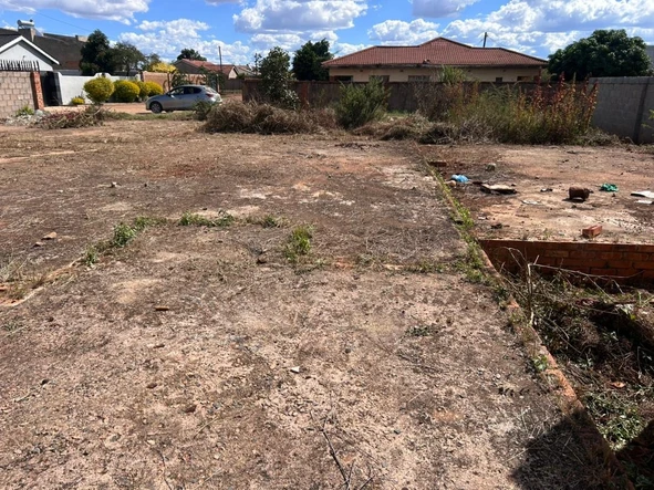 Stands & Residential Land